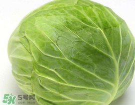 圓白菜是什么菜？圓白菜能生吃嗎？