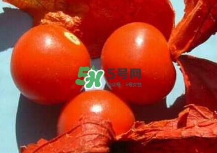 姑娘果是什么果？姑娘果怎么吃