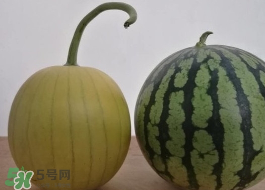 四色瓤西瓜是轉(zhuǎn)基因嗎？四色瓤西瓜是不是轉(zhuǎn)基因？