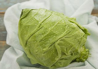 圓白菜是包菜嗎？圓白菜是大頭菜嗎？