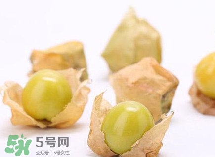 姑娘果什么時候成熟？姑娘果什么時候上市