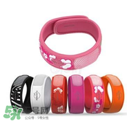 parakito驅(qū)蚊手環(huán)成分有哪些？parakito驅(qū)蚊手環(huán)成分介紹