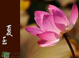 2017年夏至?xí)掠陠?？夏至下雨有什么說法？