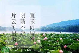 夏至是入伏嗎？夏至后多久入伏？