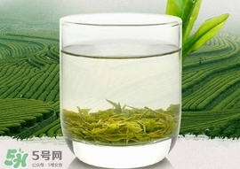 如何鑒別信陽毛尖好壞？信陽毛尖品鑒十步法