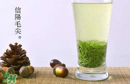 信陽毛尖什么牌子好？信陽毛尖哪個品牌好