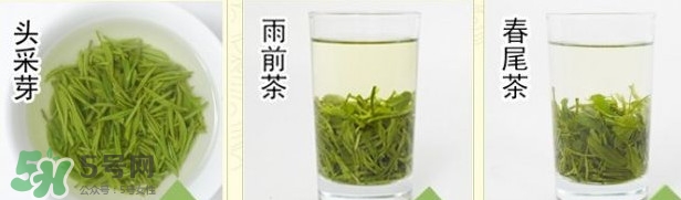 信陽毛尖什么牌子好？信陽毛尖哪個品牌好