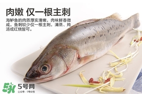 鱸魚是海鮮嗎？鱸魚是不是海鮮？