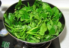 苕尖是什么菜?苕尖長(zhǎng)什么樣子? 苕尖是什么菜?苕尖長(zhǎng)什么樣子?