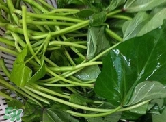 苕尖怎么保存_苕尖怎么保鮮_苕尖保存方法