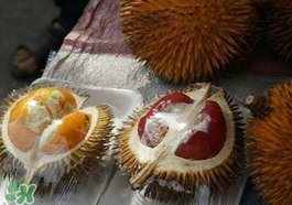 紅心榴蓮多少錢一斤？紅心榴蓮為什么這么貴？