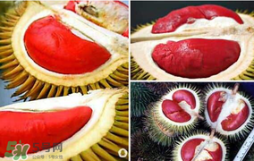 紅心榴蓮叫什么？紅心榴蓮是哪個(gè)國(guó)家產(chǎn)的？