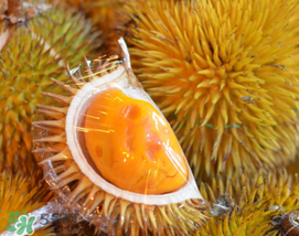 紅心榴蓮是轉(zhuǎn)基因的嗎？紅心榴蓮是不是轉(zhuǎn)基因？