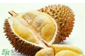 紅心榴蓮是轉(zhuǎn)基因的嗎？紅心榴蓮是不是轉(zhuǎn)基因？