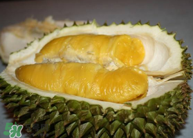 紅肉榴蓮是什么品種？紅色的榴蓮是什么品種？