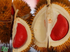 紅肉榴蓮是什么品種？紅色的榴蓮是什么品種？