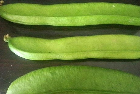 刀豆是發(fā)物嗎？刀豆是不是發(fā)物