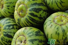 菜瓜到底是不是黃瓜？ 菜瓜和黃瓜的區(qū)別