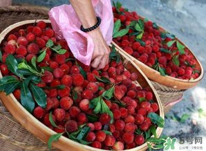 楊梅和西瓜能一起吃嗎？西瓜可以和楊梅一起吃嗎？