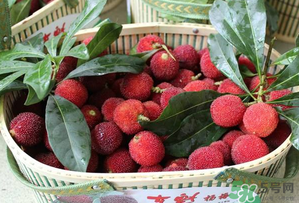 楊梅和西瓜能一起吃嗎？西瓜可以和楊梅一起吃嗎？