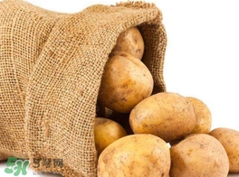 馬鈴薯有毒嗎？馬鈴薯生吃有毒嗎？