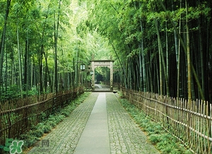 6月份去杭州穿什么？六月份去杭州穿衣搭配