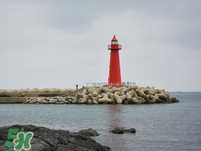 6月份去韓國穿什么？六月份去韓國穿衣搭配