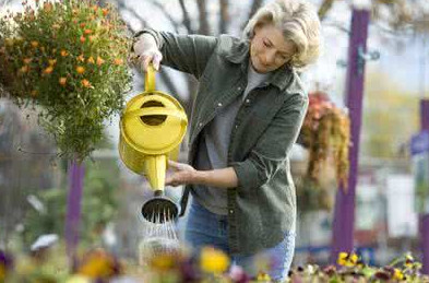 茶葉水可以澆花嗎？茶葉水能澆花嗎？