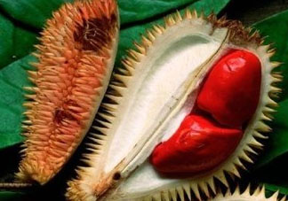 紅心榴蓮多少錢一斤？紅心榴蓮為什么這么貴？