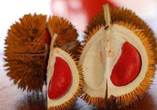 紅心榴蓮叫什么？紅心榴蓮是哪個(gè)國(guó)家產(chǎn)的？