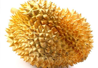 紅心榴蓮是轉基因的嗎？紅心榴蓮是不是轉基因？