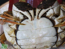 為什么說(shuō)六月黃有公蟹沒(méi)有母蟹？怎樣區(qū)分螃蟹的公母