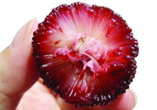 楊梅籽可以吃嗎？吃楊梅籽有什么好處？