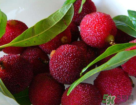 楊梅和榴蓮可以一起吃嗎？吃完楊梅可以和吃榴蓮嗎？