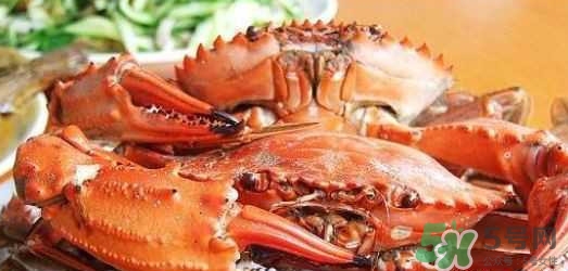 吃花蓋蟹可以喝啤酒嗎？吃花蓋蟹能喝啤酒嗎