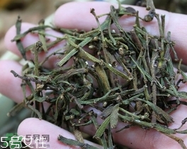 螃蟹腳茶哪些人不能喝？螃蟹腳茶哪些人能喝