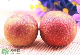 紅心李子孕婦可以吃嗎？紅心李子營養(yǎng)價值