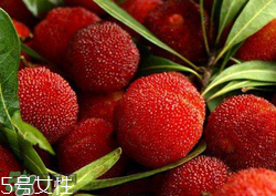 ?楊梅和李子能一起吃嗎？楊梅和李子一起吃會中毒嗎？