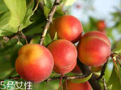 ?楊梅和李子能一起吃嗎？楊梅和李子一起吃會中毒嗎？