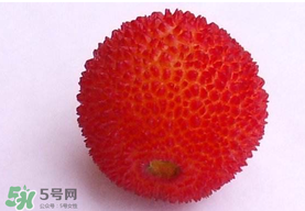 楊梅籽可以吃嗎？吃楊梅籽有什么好處？