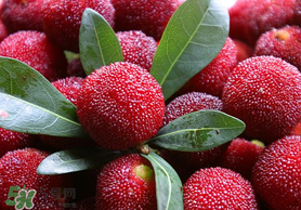 楊梅籽可以吃嗎？吃楊梅籽有什么好處？