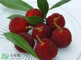 楊梅籽可以吃嗎？吃楊梅籽有什么好處？