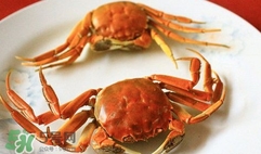 螃蟹忌諱什么？螃蟹不能和什么一起吃