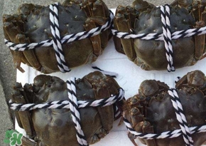 六月黃公蟹好還是母蟹好？六月黃公蟹里面的是黃嗎？