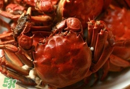 六月黃公蟹好還是母蟹好？六月黃公蟹里面的是黃嗎？