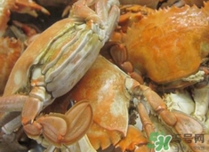 花蓋蟹死了能吃嗎？花蓋蟹死多久之內(nèi)能吃？