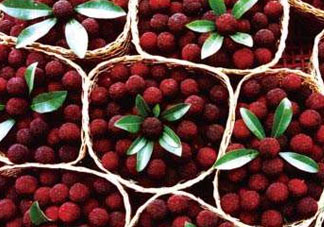 ?楊梅和李子能一起吃嗎？楊梅和李子一起吃會中毒嗎？