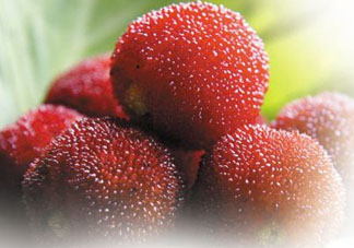 楊梅和黃瓜可以一起吃嗎？吃完楊梅可以吃黃瓜嗎？