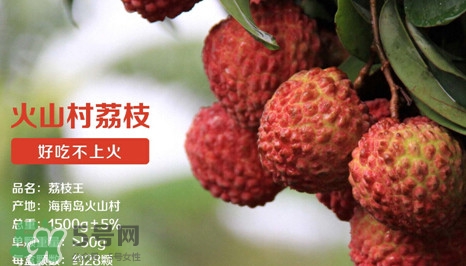 荔枝王是什么品種？荔枝王多少錢一斤2017？