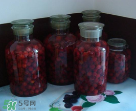 泡楊梅酒用什么瓶子？楊梅酒可以用塑料瓶泡嗎？